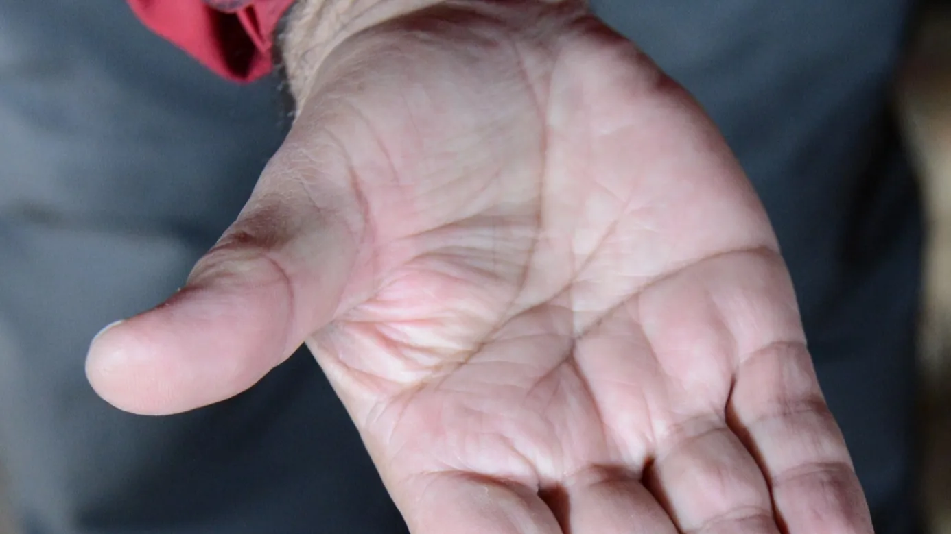 This Smart Lock Reads Your Palm Veins This Smart Lock Reads Your Palm Veins