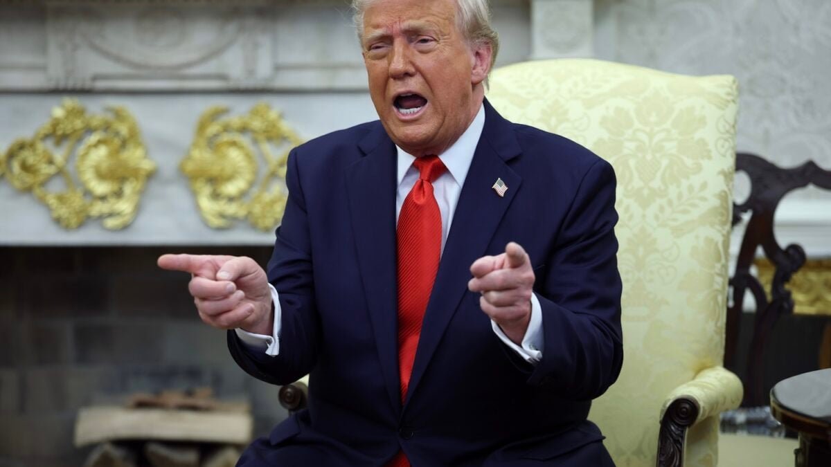 Trump and His Online Alpha Males Have a Meltdown Over NYC’s Newest Socialist Star Trump and His Online Alpha Males Have a Meltdown Over NYC’s Newest Socialist Star