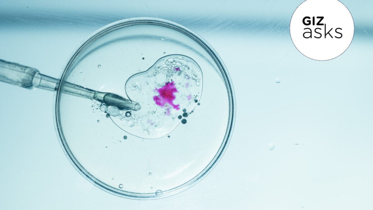 When Will Genetically Modifying Our Children Go Mainstream? When Will Genetically Modifying Our Children Go Mainstream?