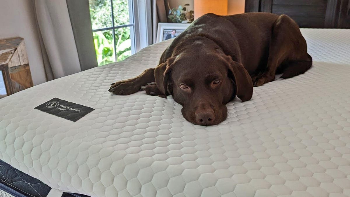 I Was Overwhelmed by Mattress Shopping. This 4 Mattress Topper Bought Me a Few More Comfortable Years I Was Overwhelmed by Mattress Shopping. This 4 Mattress Topper Bought Me a Few More Comfortable Years