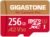[5-Yrs Free Data Recovery] GIGASTONE 256GB Micro SD Card, 4K Camera Pro, A2 V30 for Smartphone, Gopro, Action Cams, 4K UHD Video, Nintendo-Switch Compatible, Up to 100MB/s, UHS-I U3 C10 with Adapter